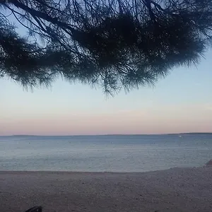https://apartments-antica.hotelinzadar.com